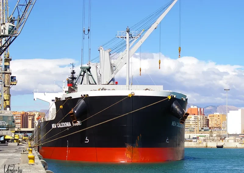 VALENTIA BLUE Bulk Carrier IMO 9520625 photo 10