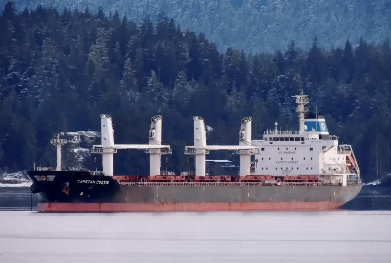 CAPETAN COSTIS Bulk Carrier IMO 9520637 photo 2