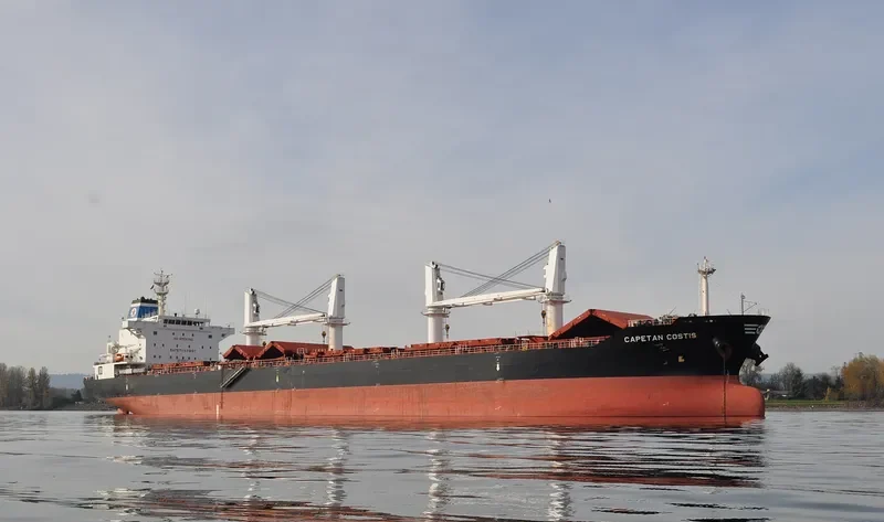 CAPETAN COSTIS Bulk Carrier IMO 9520637 photo 6