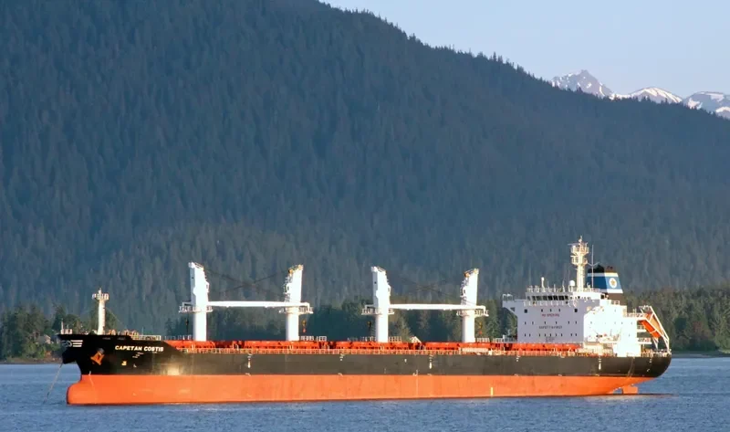 CAPETAN COSTIS Bulk Carrier IMO 9520637 photo 8