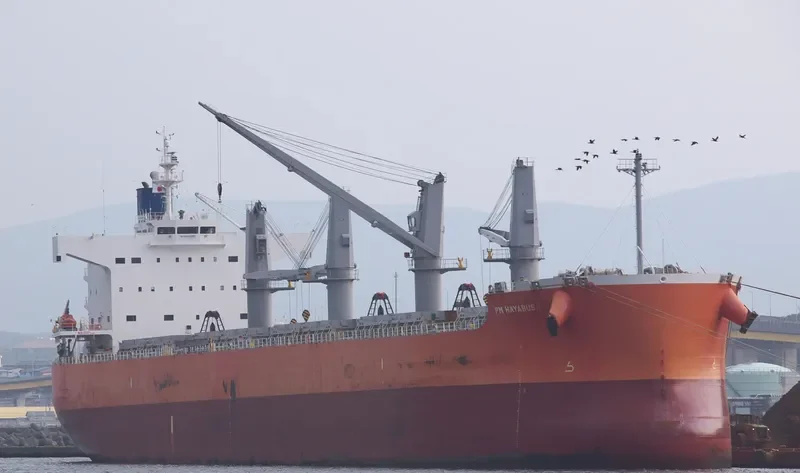 PM HAYABUSA Bulk Carrier IMO 9520663