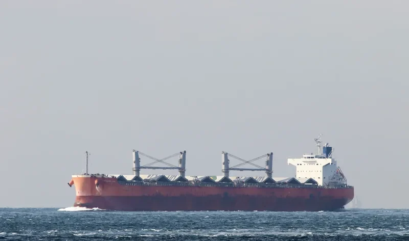 PM HAYABUSA Bulk Carrier IMO 9520663 photo 3