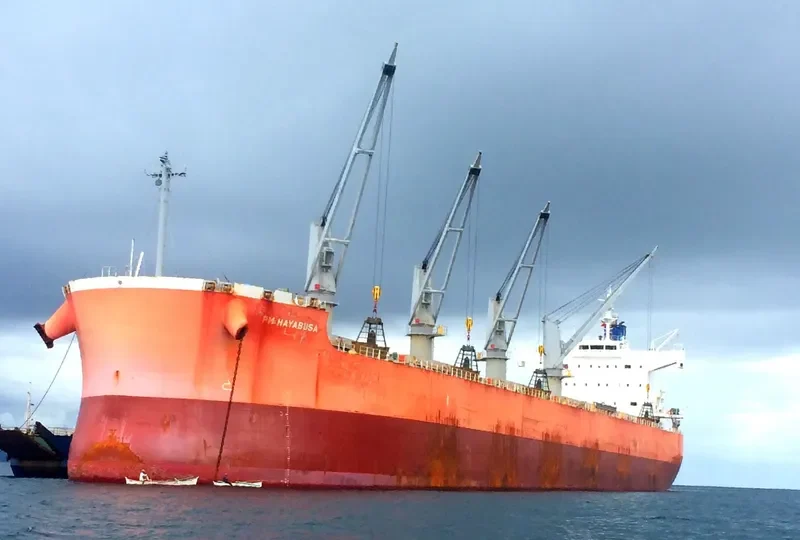 PM HAYABUSA Bulk Carrier IMO 9520663 photo 6