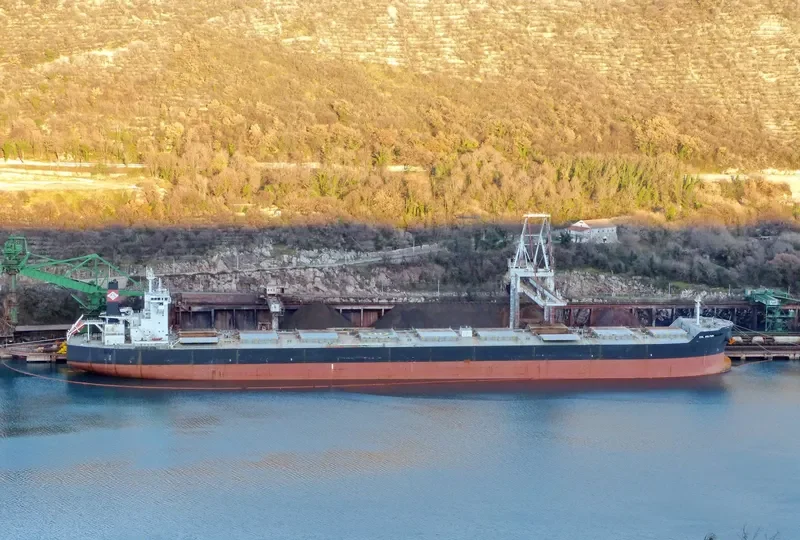 ESL DOLPHIN Bulk Carrier IMO 9520716