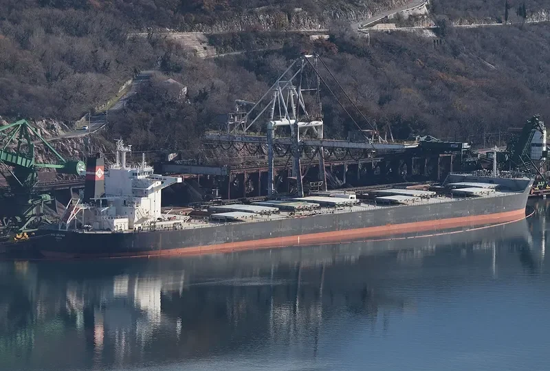 ESL DOLPHIN Bulk Carrier IMO 9520716 photo 7