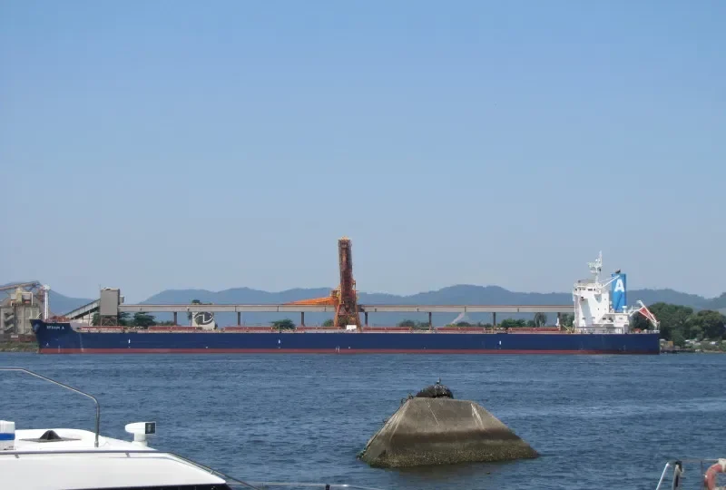 EFRAIM A Bulk Carrier IMO 9520778 photo 5