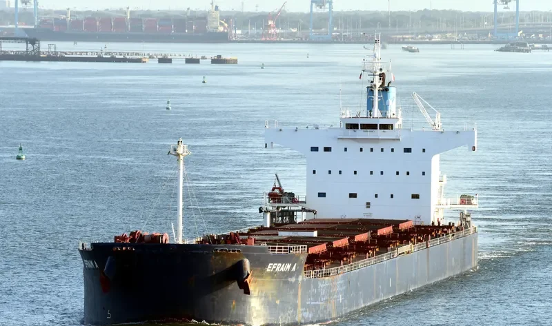 EFRAIM A Bulk Carrier IMO 9520778 photo 7
