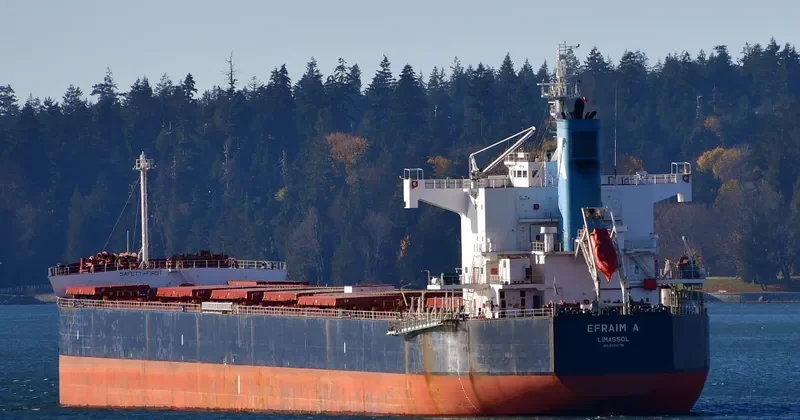 EFRAIM A Bulk Carrier IMO 9520778 photo 10