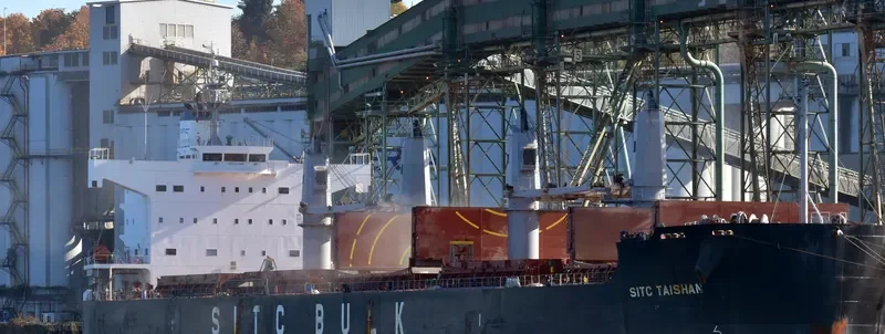 SITC TAISHAN Bulk Carrier IMO 9520780 photo 2