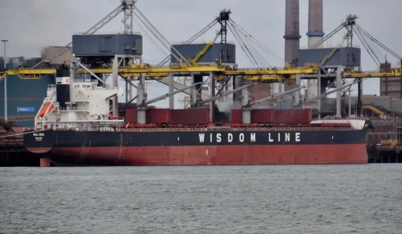 NALUHU Bulk Carrier IMO 9520792 photo 2