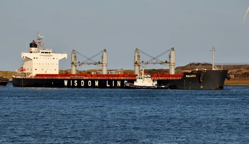 NALUHU Bulk Carrier IMO 9520792 photo 7
