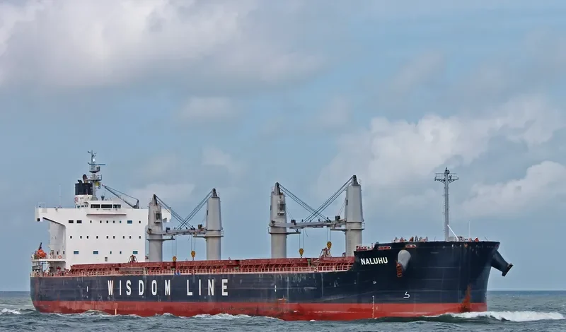 NALUHU Bulk Carrier IMO 9520792 photo 10