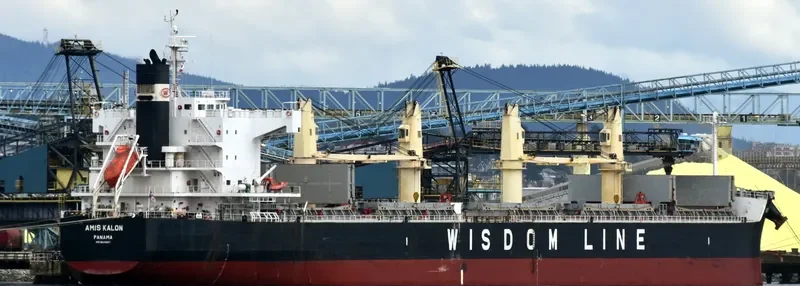 AMIS KALON Bulk Carrier IMO 9520807