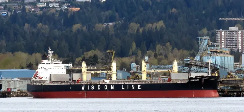 AMIS KALON Bulk Carrier IMO 9520807 photo 3