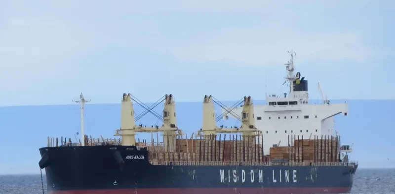 AMIS KALON Bulk Carrier IMO 9520807 photo 5