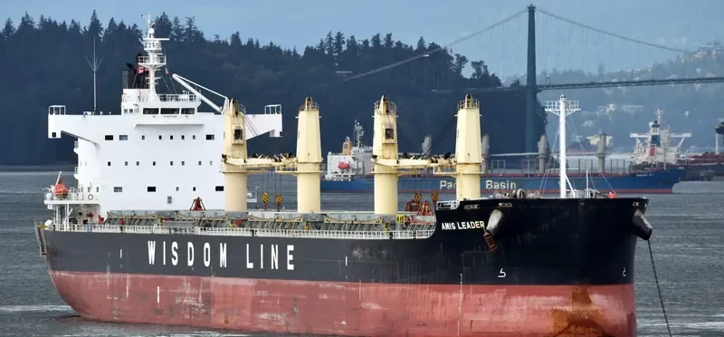 AMIS LEADER Bulk Carrier IMO 9520819 photo 6