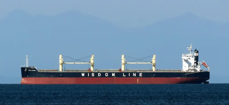 AMIS LEADER Bulk Carrier IMO 9520819 photo 8