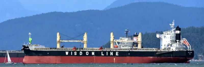 AMIS LEADER Bulk Carrier IMO 9520819 photo 9