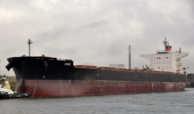 AMAMI Bulk Carrier IMO 9520821 photo 4