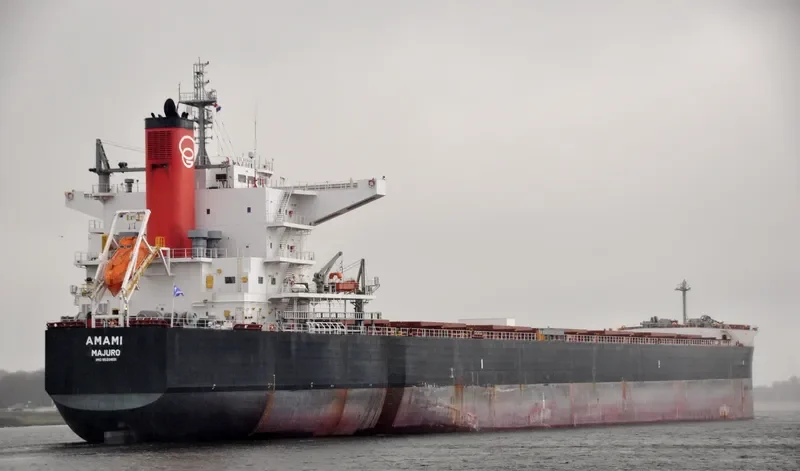 AMAMI Bulk Carrier IMO 9520821 photo 5