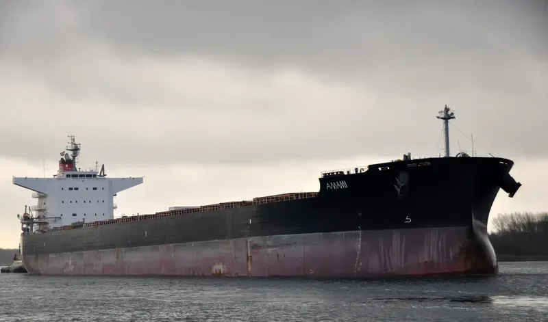AMAMI Bulk Carrier IMO 9520821 photo 6