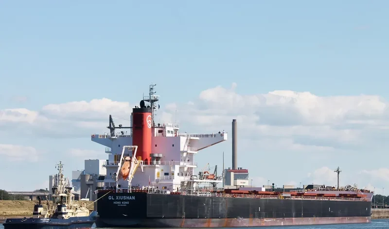 AMAMI Bulk Carrier IMO 9520821 photo 8