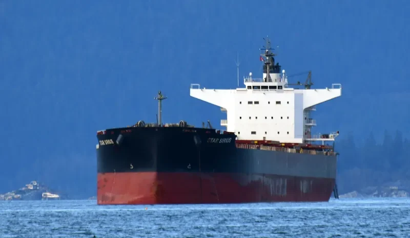STAR SIRIUS Bulk Carrier IMO 9520883 photo 4
