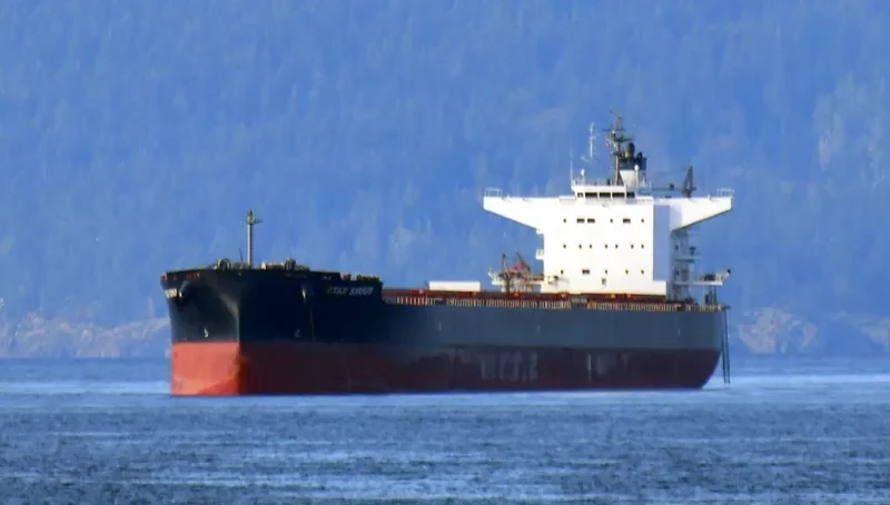 STAR SIRIUS Bulk Carrier IMO 9520883 photo 5