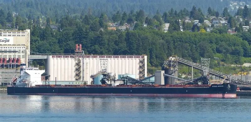 STAR SIRIUS Bulk Carrier IMO 9520883 photo 6