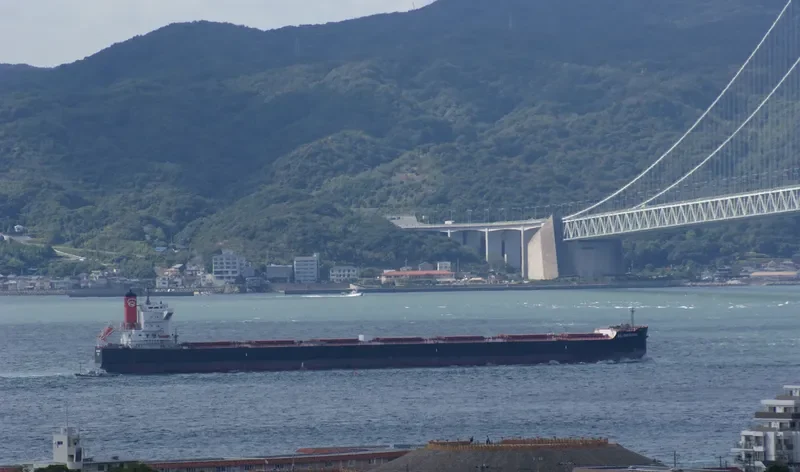 STAR SIRIUS Bulk Carrier IMO 9520883 photo 10