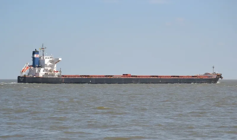 STAR VEGA Bulk Carrier IMO 9520895 photo 2