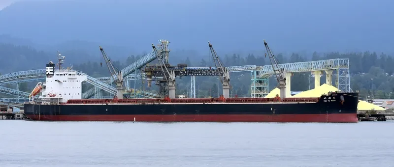 NAZIA JAHAN Bulk Carrier IMO 9520900 photo 5