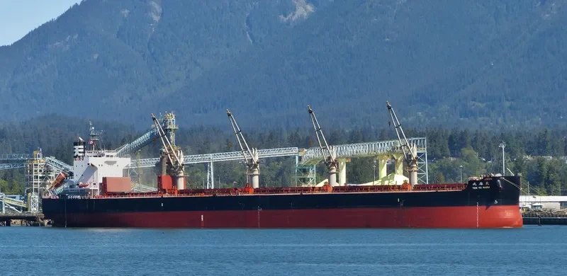 NAZIA JAHAN Bulk Carrier IMO 9520900 photo 8