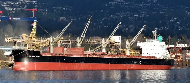 SHARK ISLAND Bulk Carrier IMO 9520924 photo 7