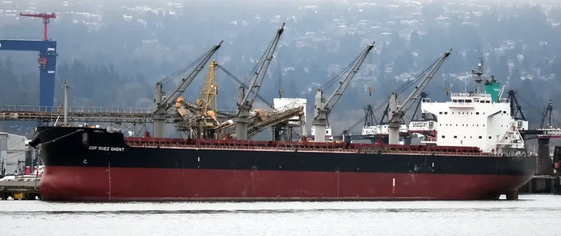 SHARK ISLAND Bulk Carrier IMO 9520924 photo 10