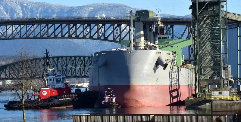 KRISTINITA Bulk Carrier IMO 9520936 photo 6