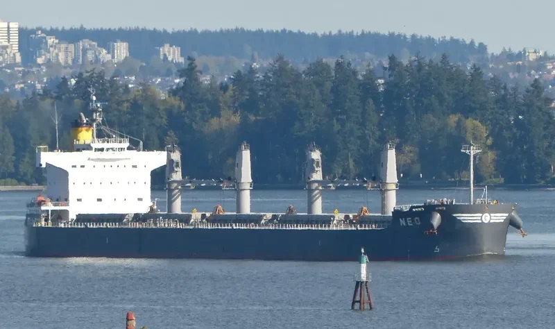 NEO Bulk Carrier IMO 9520948 photo 2
