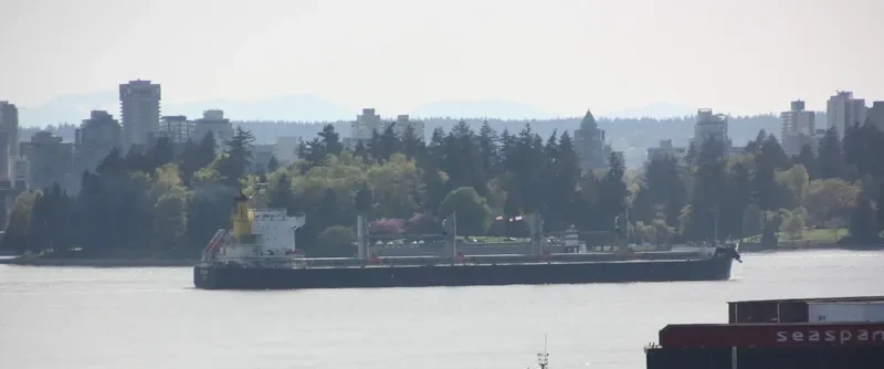 NEO Bulk Carrier IMO 9520948 photo 3