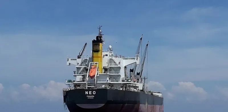 NEO Bulk Carrier IMO 9520948 photo 6