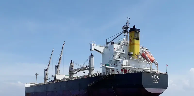 NEO Bulk Carrier IMO 9520948 photo 7