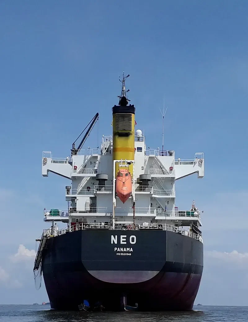 NEO Bulk Carrier IMO 9520948 photo 9