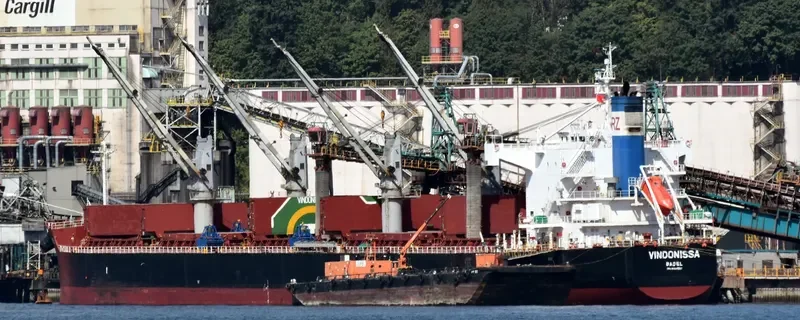 VINDONISSA Bulk Carrier IMO 9520950