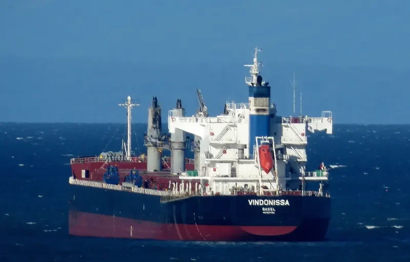VINDONISSA Bulk Carrier IMO 9520950 photo 2