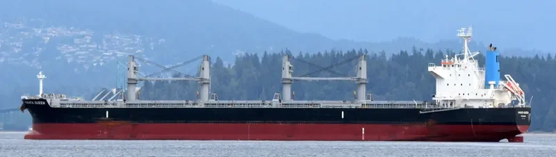 VINDONISSA Bulk Carrier IMO 9520950 photo 4