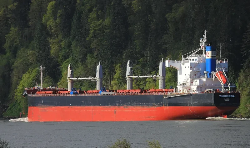 VINDONISSA Bulk Carrier IMO 9520950 photo 9