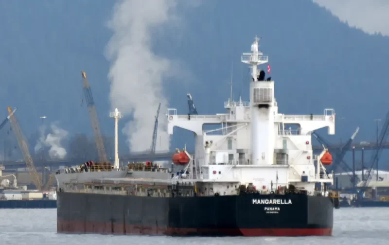 PENGUIN ISLAND Bulk Carrier IMO 9520962 photo 2