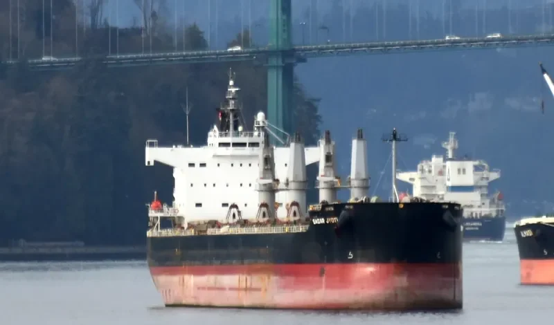 PENGUIN ISLAND Bulk Carrier IMO 9520962 photo 3