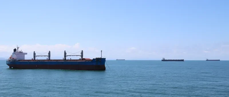 CONON Bulk Carrier IMO 9520974 photo 8