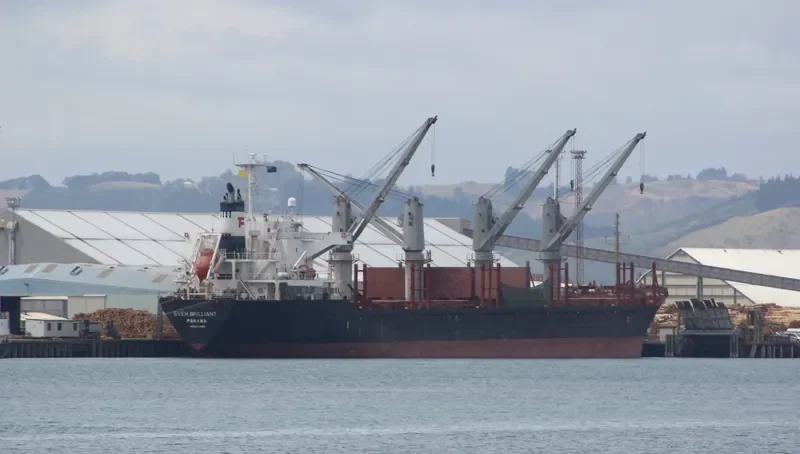 EVER BRILLIANT Bulk Carrier IMO 9520998 photo 5