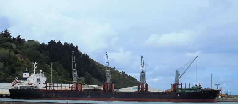 EVER BRILLIANT Bulk Carrier IMO 9520998 photo 6
